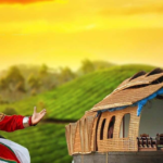 South Indian Culture: Traditions, Art, Food & Festivals
